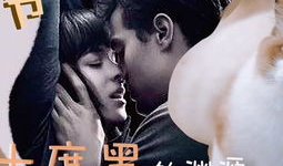 欧美毛片视频,揭秘毛片视频背后的故事